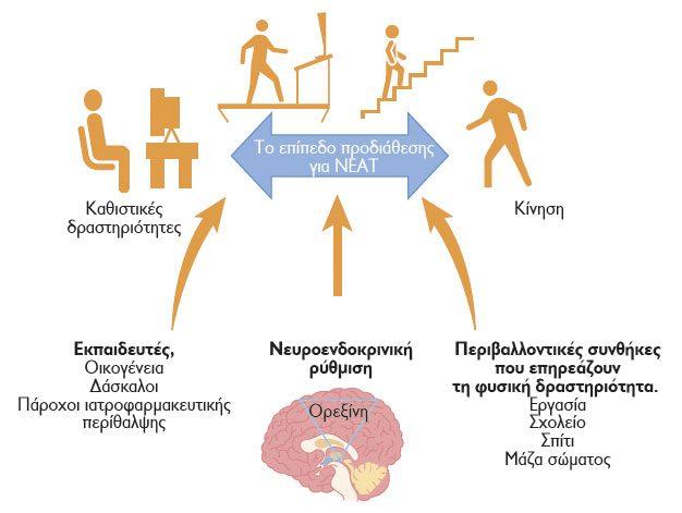 Φυσική ⁤Δραστηριότητα: Παιχνίδι και Κίνηση για Καρδιοαγγειακή Υγεία